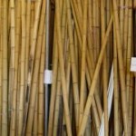 Стволы и половинки бамбука