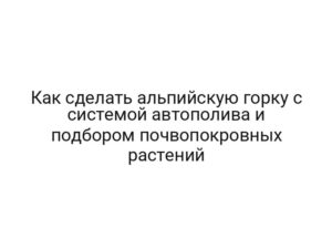 Как сделать альпийскую горку с системой автополива и подбором почвопокровных растений