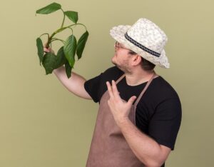 Почему баклажаны цветут но пустоцвет даже при ручном опылении